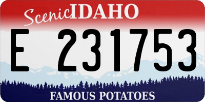 ID license plate E231753