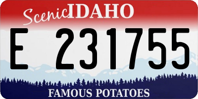 ID license plate E231755