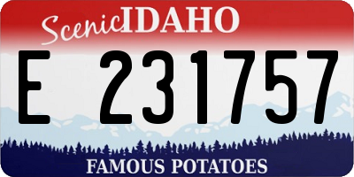 ID license plate E231757
