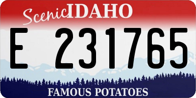 ID license plate E231765