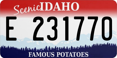 ID license plate E231770