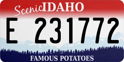 ID license plate E231772