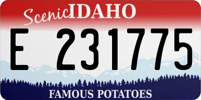ID license plate E231775