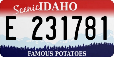 ID license plate E231781