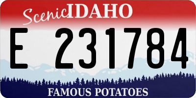 ID license plate E231784