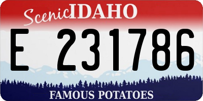 ID license plate E231786
