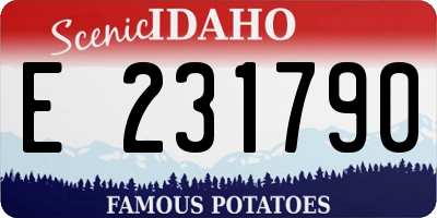 ID license plate E231790