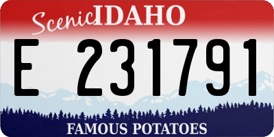 ID license plate E231791