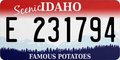 ID license plate E231794