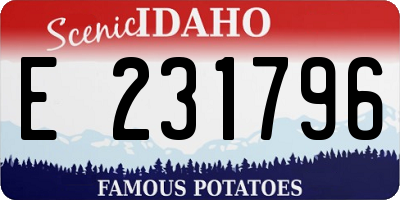 ID license plate E231796