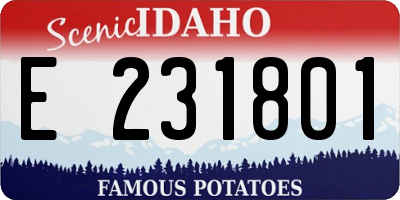 ID license plate E231801