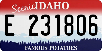 ID license plate E231806