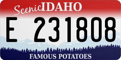 ID license plate E231808