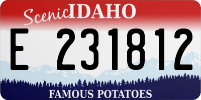 ID license plate E231812