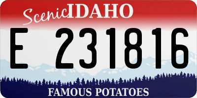 ID license plate E231816