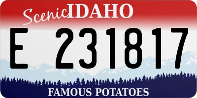 ID license plate E231817
