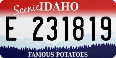 ID license plate E231819