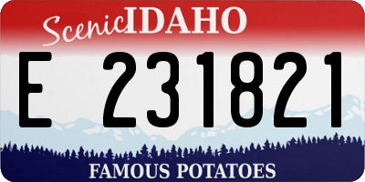 ID license plate E231821