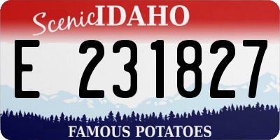 ID license plate E231827