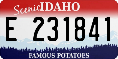 ID license plate E231841