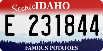 ID license plate E231844