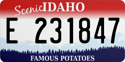 ID license plate E231847