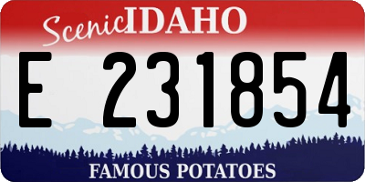 ID license plate E231854