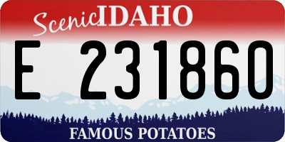 ID license plate E231860
