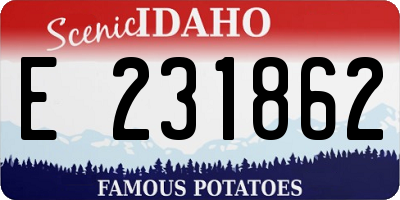 ID license plate E231862