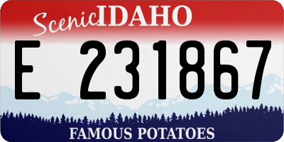 ID license plate E231867