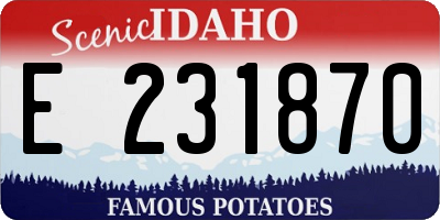 ID license plate E231870