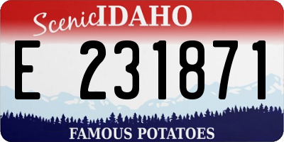 ID license plate E231871