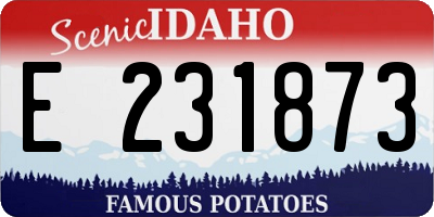 ID license plate E231873