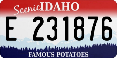 ID license plate E231876