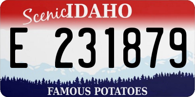 ID license plate E231879