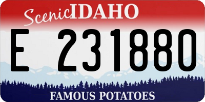 ID license plate E231880