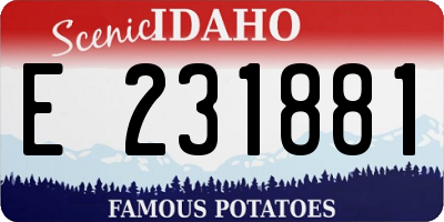 ID license plate E231881