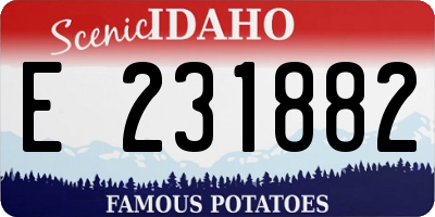 ID license plate E231882