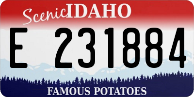 ID license plate E231884