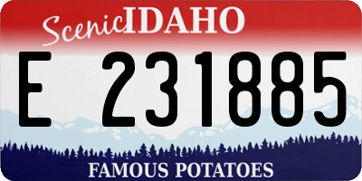 ID license plate E231885