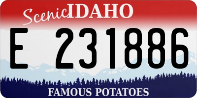 ID license plate E231886