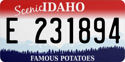 ID license plate E231894