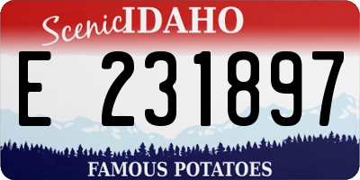ID license plate E231897