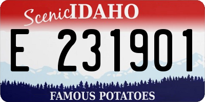 ID license plate E231901
