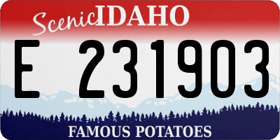 ID license plate E231903