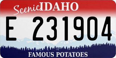 ID license plate E231904