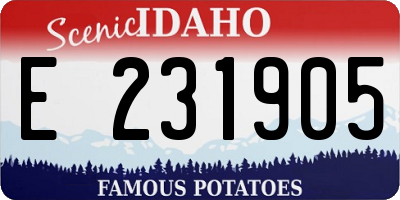 ID license plate E231905