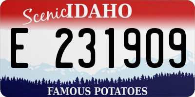 ID license plate E231909