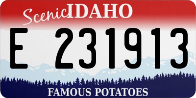 ID license plate E231913