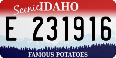 ID license plate E231916